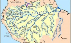 Амазонська низовина – зелений океан
