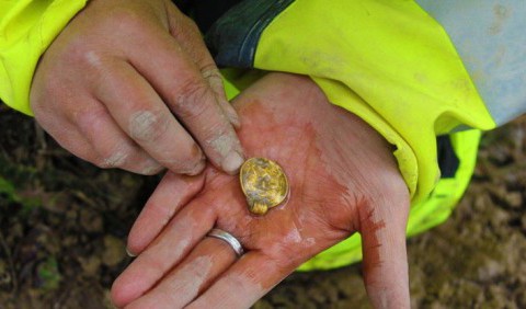 Найдавніші знахідки Норвегії: археологи виявили 7 рідкісних артефактів