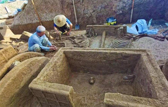 Археологи виявили останки коней та воїнів у стародавній китайській гробниці – 2