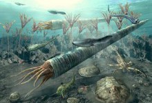 Камероцерас (Cameroceras) — прадавній хижий молюск, який жив 450 млн років тому