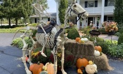 Хелловін (Halloween) - історія виникнення та символіка Дня всіх святих