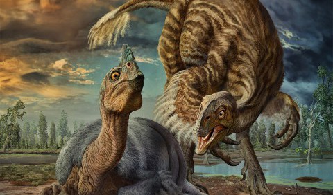 Cкам'янілості дитинчат динозаврів віком 100 млн років знайшли в Австралії