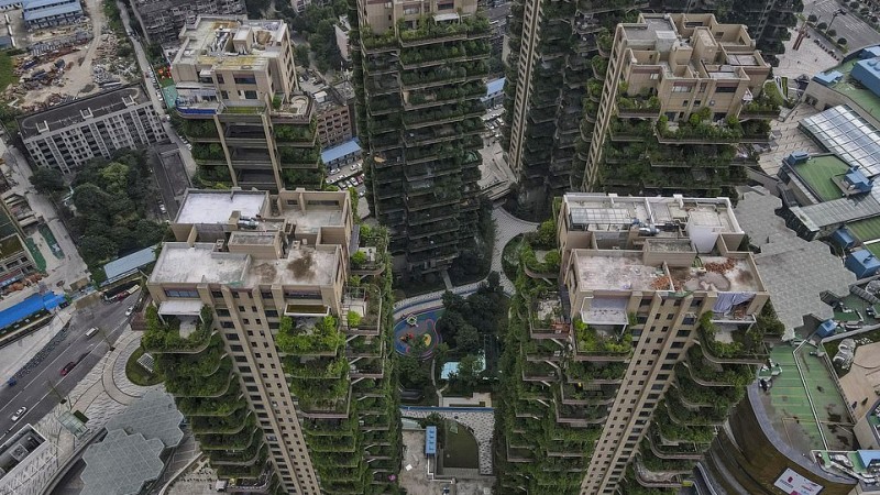 Китайський проект житлового комплексу із «вертикальним лісом» провалився 4