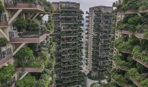 Китайський проект житлового комплексу із «вертикальним лісом» провалився