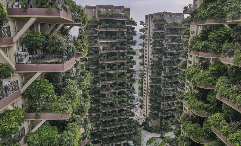 Китайський проект житлового комплексу із «вертикальним лісом» провалився