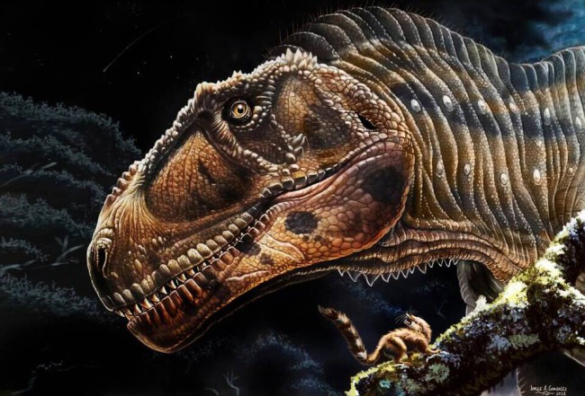 Мераксес не був найбільшим з м'ясоїдних динозаврів, зате зберігся досить добре, щоб розкрити палеонтологам цікаві подробиці власної анатомії