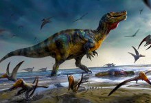 Виявлено останки найбільшого хижого динозавра Європи