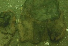 Найдавніше каное віком 3000 років знайшли в озері Вісконсіна