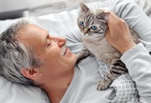 Хвороба чи прояв почуттів: навіщо кішки лижуть шкіру своїх господарів