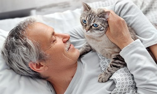 Хвороба чи прояв почуттів: навіщо кішки лижуть шкіру своїх господарів