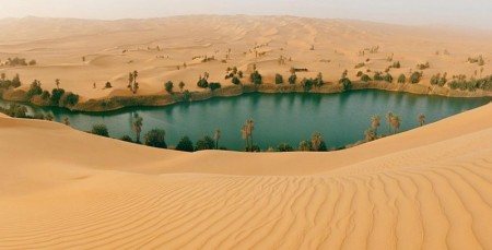 Оазис посеред пустелі