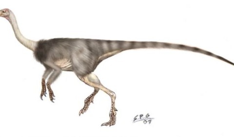 Найбільший динозавр-страус із Північної Америки: він важить понад 800 кг