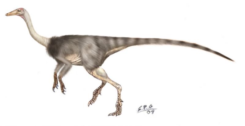 Найбільший динозавр-страус із Північної Америки