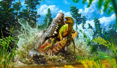 Палеонтологи дізналися, ким пообідав стародавній крокодил