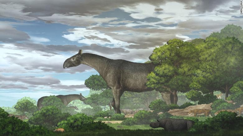 Палеонтологи виявили гігантських носорогів, які жили 31 млн років тому