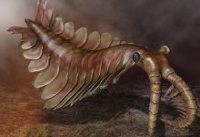 Палеонтологи знайшли членистоногого віком 506 млн років з величезним третім оком