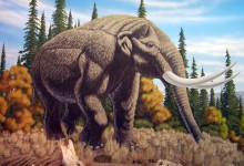 13 000-річний бивень мастодонта, який загинув у бою, допоміг розкрити шлюбну міграцію вимерлої тварини