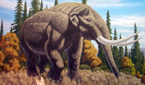 13 000-річний бивень мастодонта, який загинув у бою, допоміг розкрити шлюбну міграцію вимерлої тварини