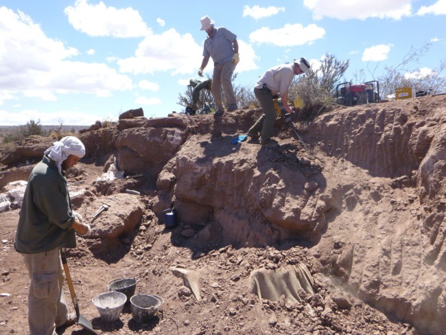 Аргентинські, американські та канадські вчені знайшли скам'янілості в 2012 році.