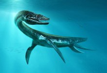 Гібрид змії з крокодилом: скелет, що пилився в музеї, виявився новим видом морських динозаврів
