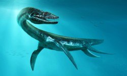 Гібрид змії з крокодилом: скелет, що пилився в музеї, виявився новим видом морських динозаврів