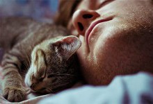 Чому коти сплять на людях