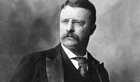 Справедливий курс Теодора Рузвельта в США