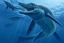 Талаттоархон — давній хижак із морських глибин віком в 242 млн років