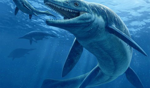Талаттоархон — давній хижак із морських глибин віком в 242 млн років