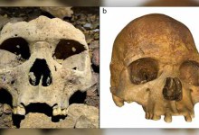 У Центральній Африці виявлено 500-річні останки людей з модифікаціями обличчя