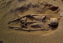 У «елітному» чоловічому похованні кам'яного віку знайдено єдине жіноче тіло