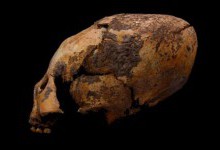 У Китаї археологи виявили скелети з яйцеголовими черепами