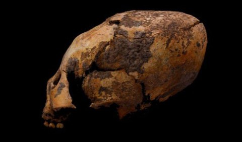 У Китаї археологи виявили скелети з яйцеголовими черепами