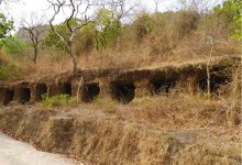У лісовому заповіднику Бандхавгарх знайшли втрачені храми, буддистські споруди та печери