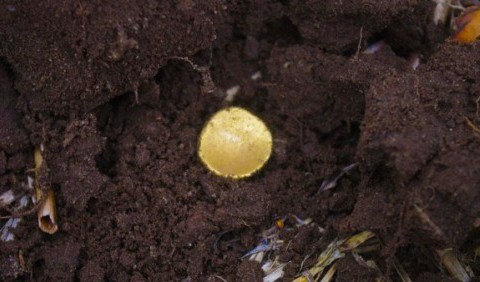 У Німеччині знайдено скарб із «райдужними чашками» – золотом кельтів