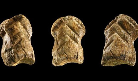 У Німеччині знайшли статуетку, вирізану понад 50 тисяч років тому