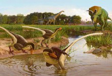 У Північній Америці виявлено новий вид динозаврів