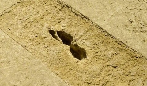 У пустельному солончаку дивом виявили стародавні «примарні сліди»
