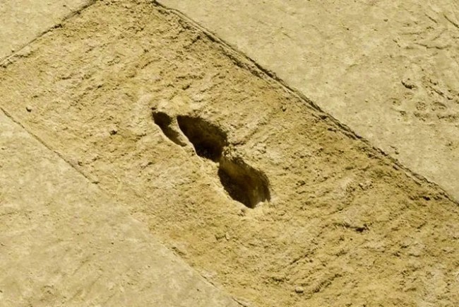 У пустельному солончаку дивом виявили стародавні примарні сліди
