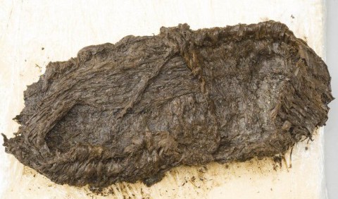 У швейцарському озері знайшли черевик 5000-річної давності