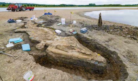 У Великій Британії виявили останки «морського дракона»