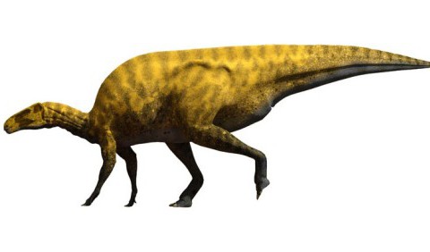 В Іспанії виявили новий вид динозаврів