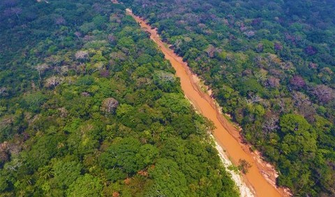 Вчені виявили на південному заході джунглів Амазонки сліди стародавніх руїн раніше невідомих поселень