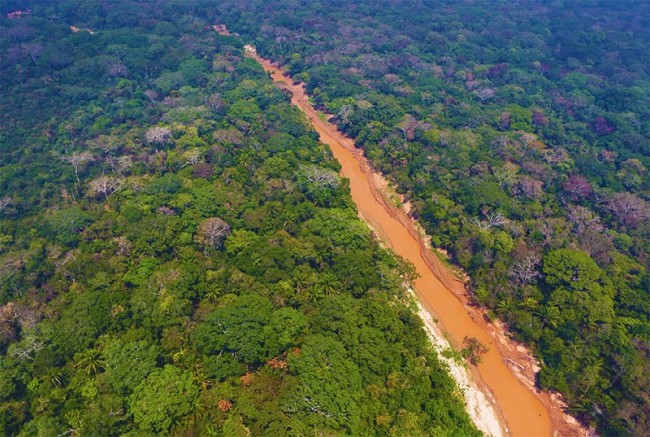 Вчені виявили на південному заході джунглів Амазонки сліди стародавніх руїн раніше невідомих поселень