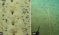 Вчені виявили ряд отворів, знайдених на дні Атлантичного океану