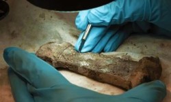 Вчені возз'єднали фрагменти рідкісного меча епохи вікінгів, які 1200 років були розлучені
