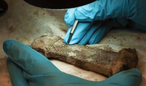 Вчені возз'єднали фрагменти рідкісного меча епохи вікінгів, які 1200 років були розлучені
