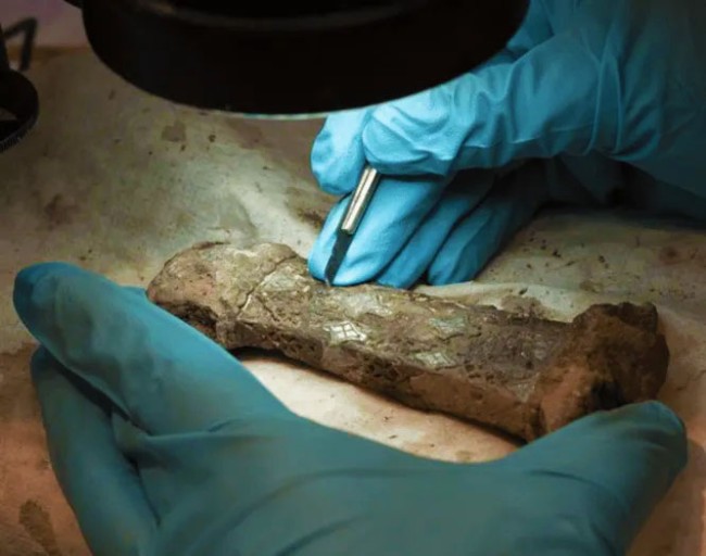 Вчені возз'єднали фрагменти рідкісного меча епохи вікінгів, які 1200 років були розлучені – 2
