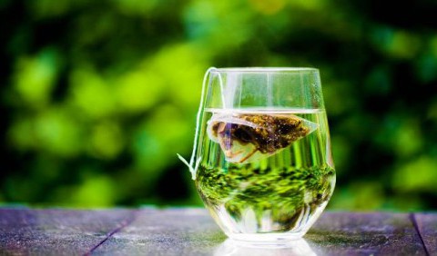 Чаювання з жуками: вчені знайшли в чайних пакетиках сліди тисячі комах
