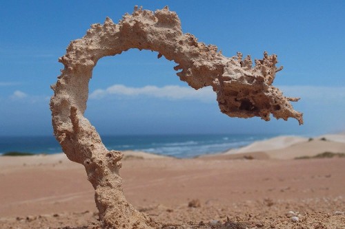 Від удару блискавки в пісок може утворитися справжня скляна фігура